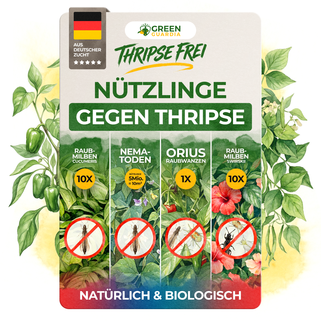 Thripse-Frei Bundle zur Soforthilfe - Green Guardia - Ihr Experte für Schädlinge und Pflanzen