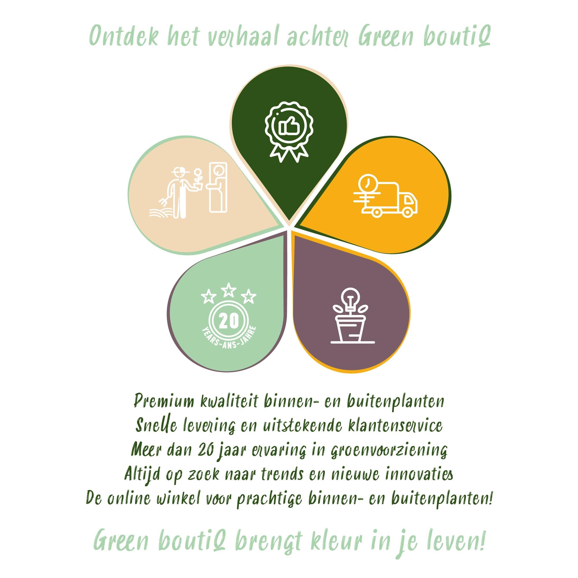 Hibiscus ‘Hamabo’ – laubabwerfend, hellrosa blühend, 17 cm Topf, 45 cm hoch