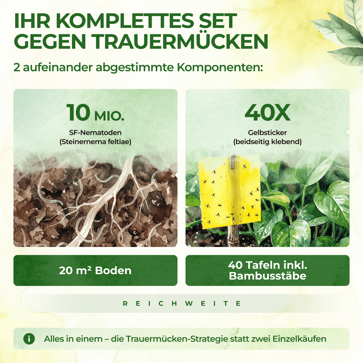Trauermücken-Frei Set - Green Guardia - Ihr Experte für Schädlinge und Pflanzen
