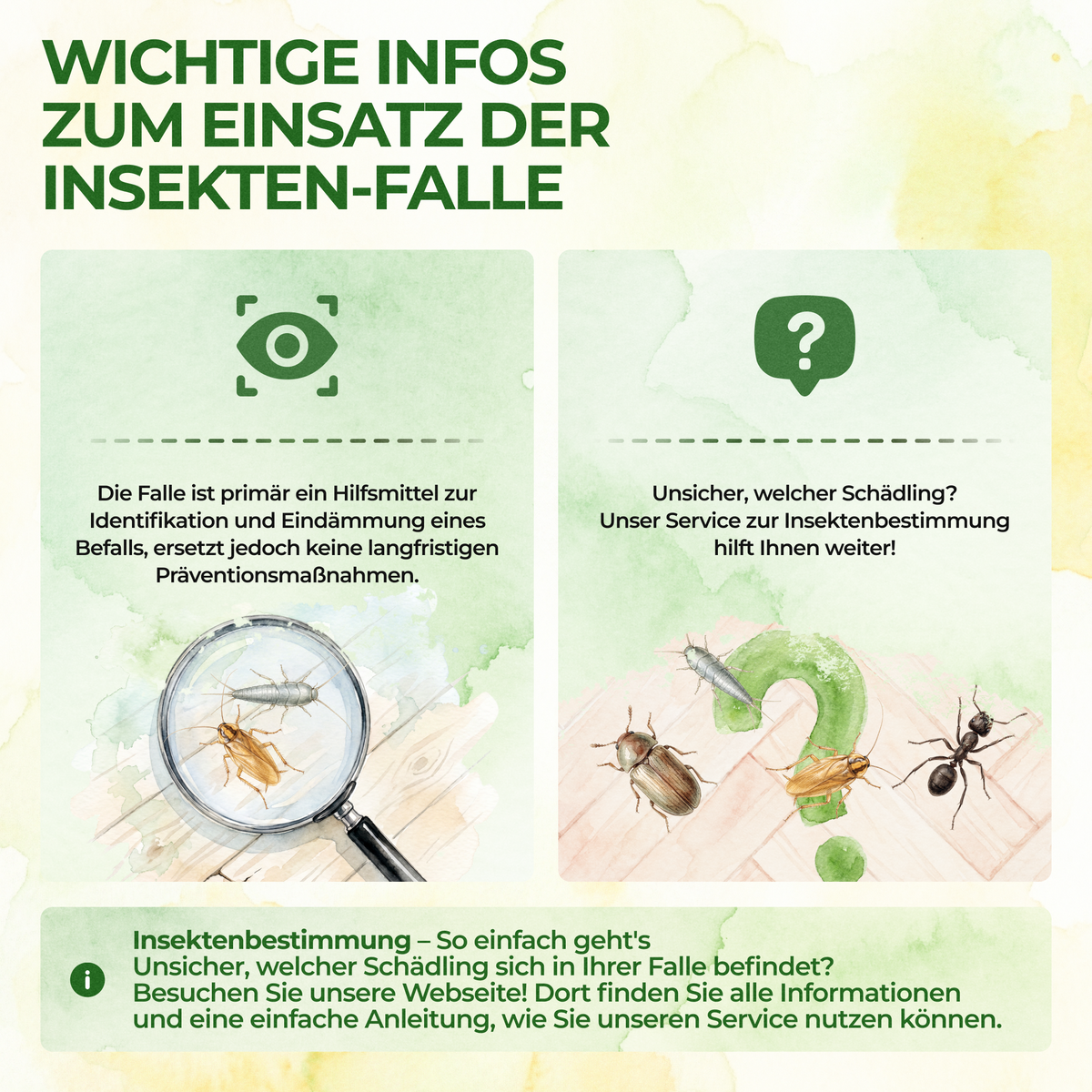 Pest/Insect Trap