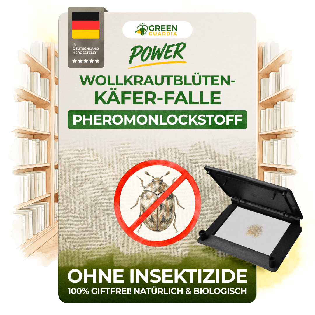 Wollkrautblütenkäfer Falle - Green Guardia - Ihr Experte für Schädlinge und Pflanzen